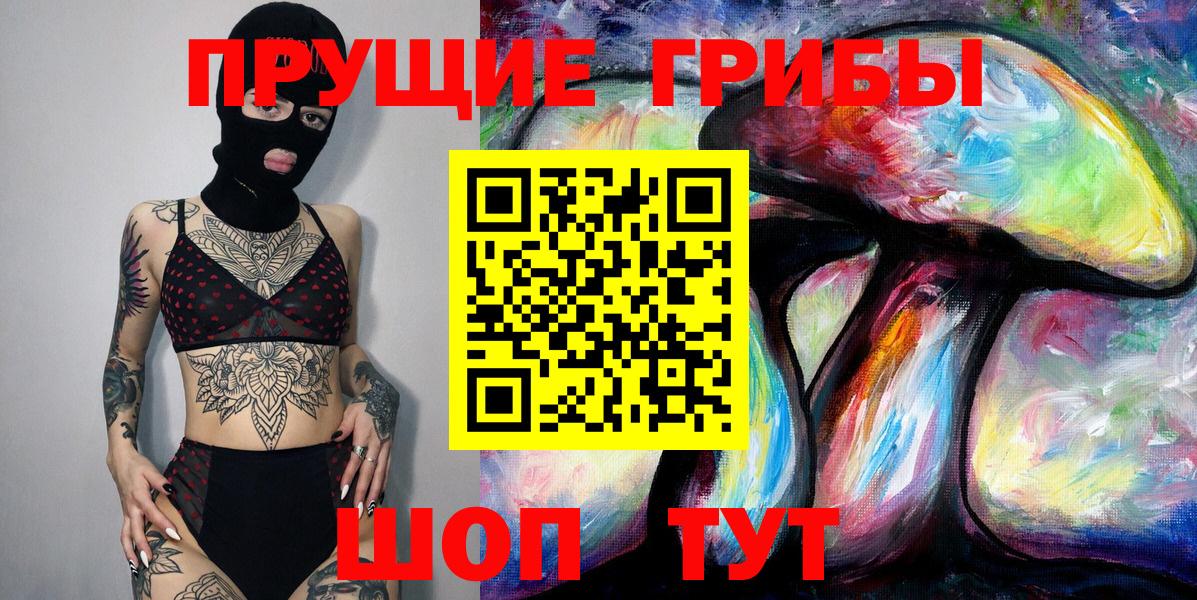 Галлюциногенные грибы Psilocybe Волжский