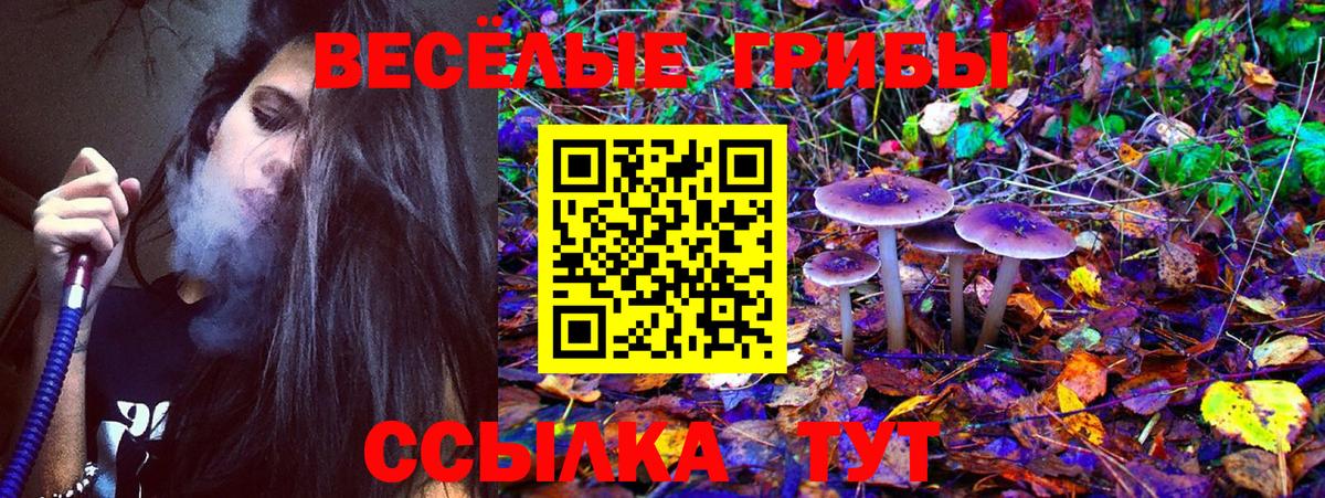 Галлюциногенные грибы Psilocybine cubensis  Галлюциногенные грибы мухоморы  дарнет шоп  Волжский  Вход с VPN 